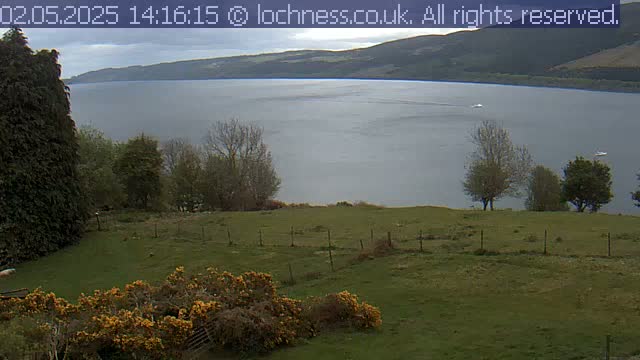 A grassy field with a short fence and yellow flowering bushes overlooks a calm lake nestled between rolling hills under an overcast sky.