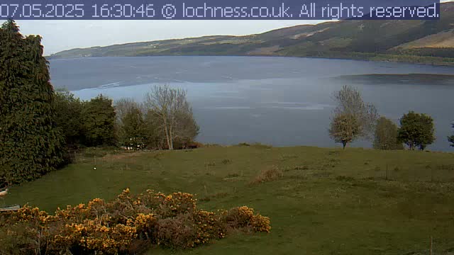 A large body of water stretches between rolling hills under a mostly cloudy sky, viewed from a grassy hillside dotted with trees and yellow flowering bushes.