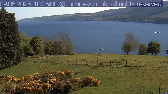 A grassy field with a wire fence overlooks a calm, blue loch surrounded by rolling hills under a clear sky.