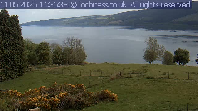 A grassy field with a wire fence overlooks a calm, gray body of water surrounded by rolling hills under an overcast sky.