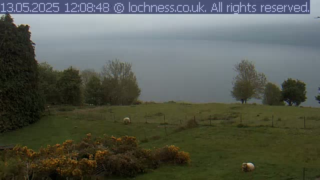 A grassy field with a few sheep, some trees, and a hazy, overcast sky overlooks a body of water in the distance.