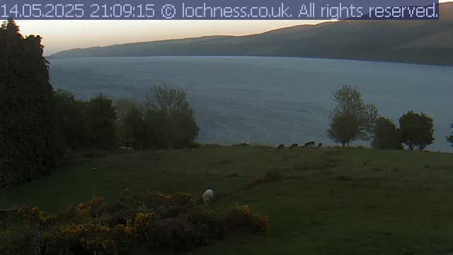 A calm, dusky-lit lake stretches behind a grassy field where sheep and deer graze, bordered by dark green trees and shrubs.