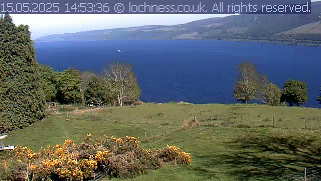 A grassy field with a few trees and shrubs overlooks a large, dark-blue lake, with distant hills under a sunny sky.
