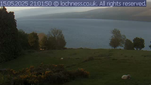 A calm, overcast evening scene shows a large body of water, beyond a grassy field with a few sheep and some trees.