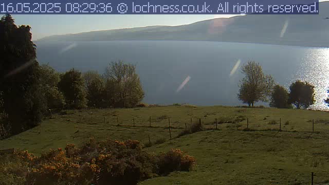 A grassy field with a wire fence overlooks a calm lake and distant mountains under a mostly sunny sky.