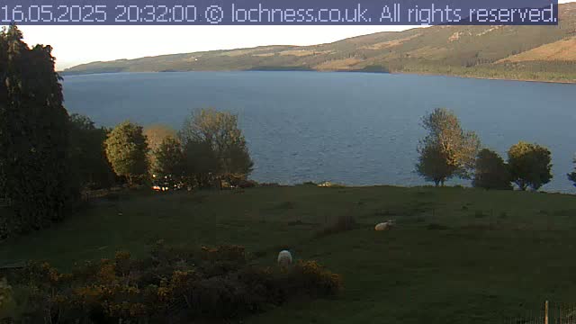 A calm lake stretches to the horizon beneath a clear evening sky, with sheep grazing in a grassy field overlooking the water, nestled among trees and hills.