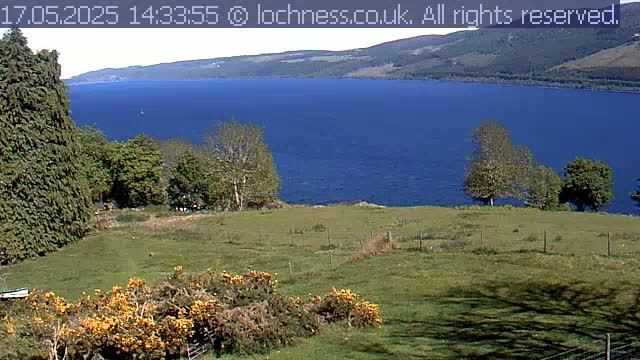 A grassy field with shrubs and trees overlooks a calm, blue loch nestled between rolling hills under a clear sky.