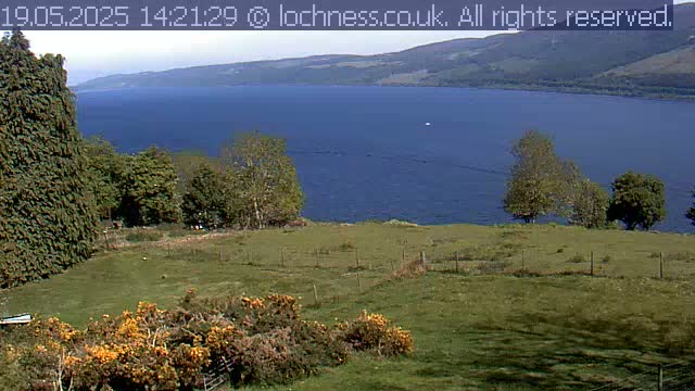 A grassy field with flowering shrubs slopes down to a large, calm, blue lake bordered by distant hills under a mostly clear sky.