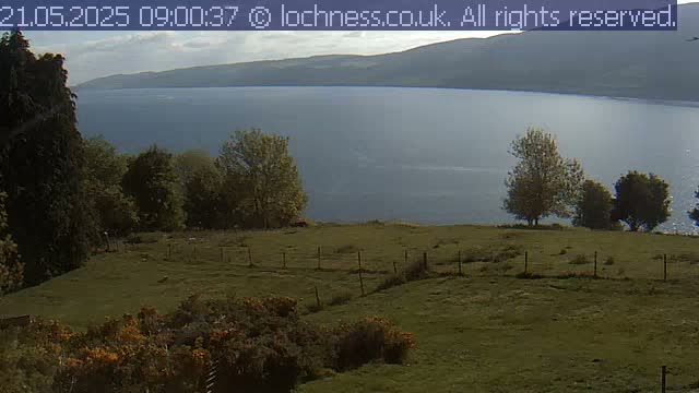 A grassy field with a few trees overlooks a calm lake and distant mountains under a mostly cloudy sky.