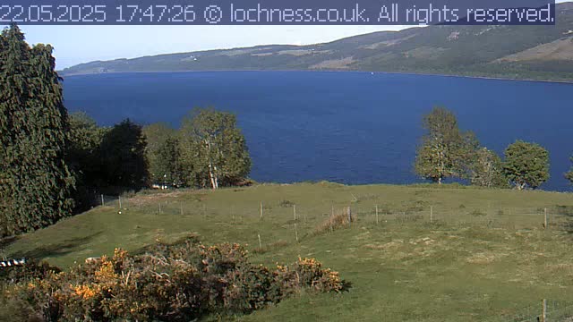 A grassy field with a few trees overlooks a large, dark blue lake, under a clear sky.