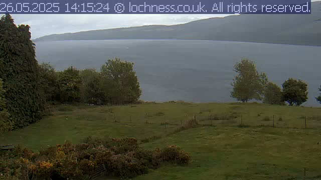 A grassy field with a few trees overlooks a large, calm body of water under an overcast sky.