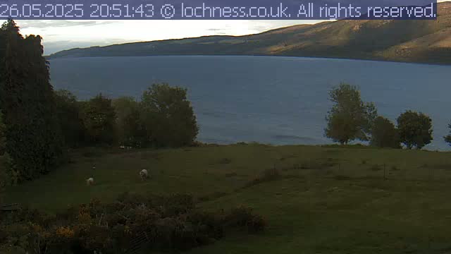 A calm, twilight view shows a large body of water with hills in the background, a grassy field with a few sheep in the foreground, and several trees on a hillside.