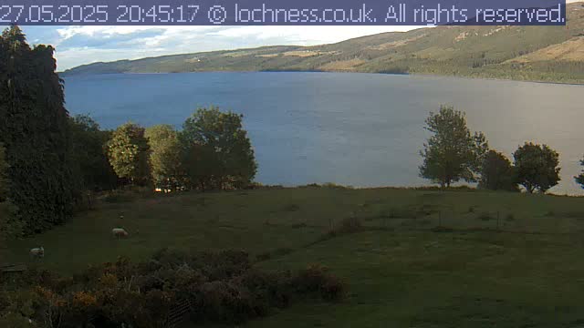 A calm, partly cloudy evening reveals a large body of water surrounded by green hills and trees, with a few sheep grazing in a nearby pasture.