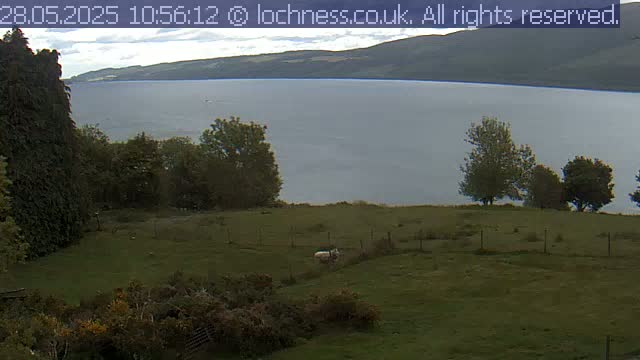 A mostly cloudy day shows a view of a large lake nestled between hills, with a grassy field containing a sheep in the foreground.