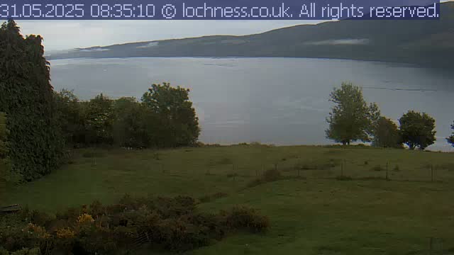 A calm, overcast day reveals a large body of water nestled between rolling hills, viewed from a grassy field dotted with trees.