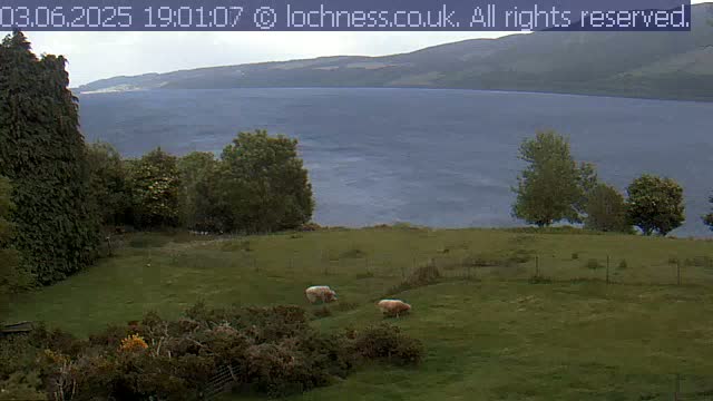 Two sheep graze in a grassy field overlooking a calm lake and distant mountains under an overcast sky.