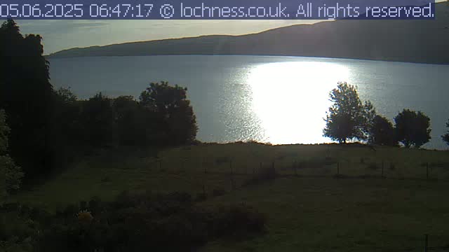 A calm, sunlit lake stretches toward distant hills, viewed from a grassy field dotted with trees under a mostly clear sky.