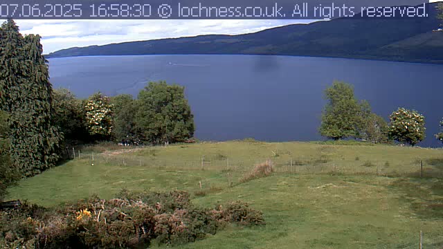 A grassy field with a few trees overlooks a large, calm lake and distant mountains under a partly cloudy sky.