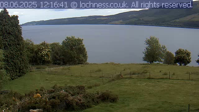A grassy field with several trees overlooks a large, calm lake and distant hills under an overcast sky.