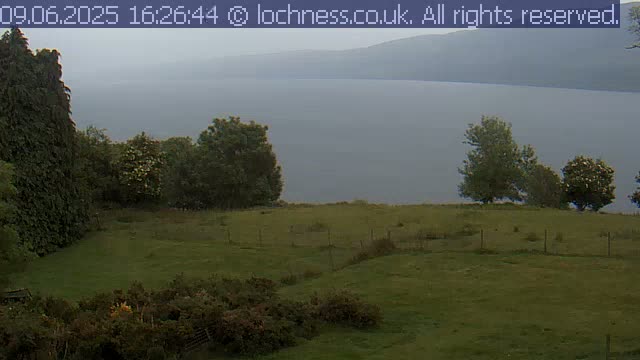 A grassy hillside with a few trees overlooks a calm, hazy lake and distant mountains under an overcast sky.