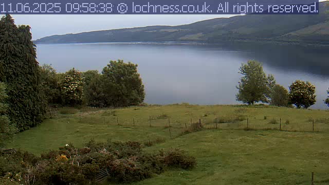 A grassy field with a few trees overlooks a calm, misty lake nestled between rolling hills.