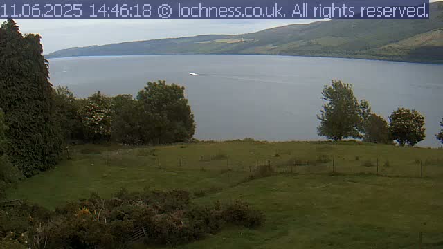 A grassy field with several trees overlooks a calm lake and distant hills under an overcast sky.