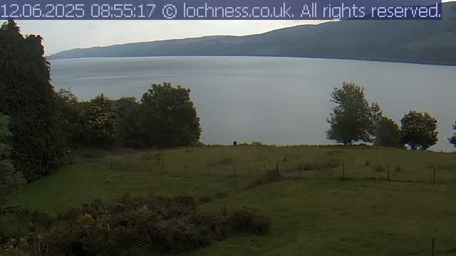 A calm, overcast day reveals a view of a large lake nestled between rolling hills, seen from a grassy field dotted with trees.