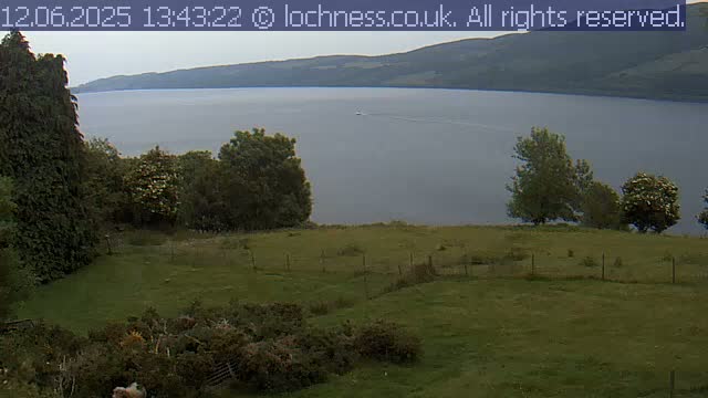 A grassy field overlooks a calm lake and distant hills under an overcast sky.