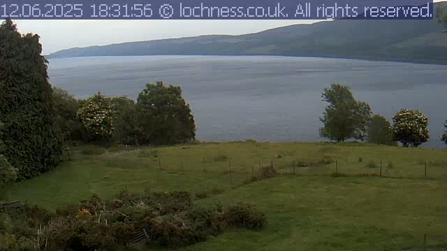 A tranquil loch is viewed from a grassy hillside dotted with trees under a cloudy sky.