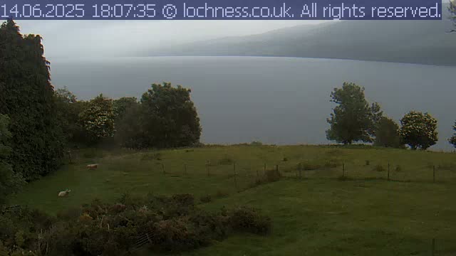 A calm, overcast day reveals a loch stretching to distant, hazy hills, viewed from a grassy field with a few trees and sheep nearby.