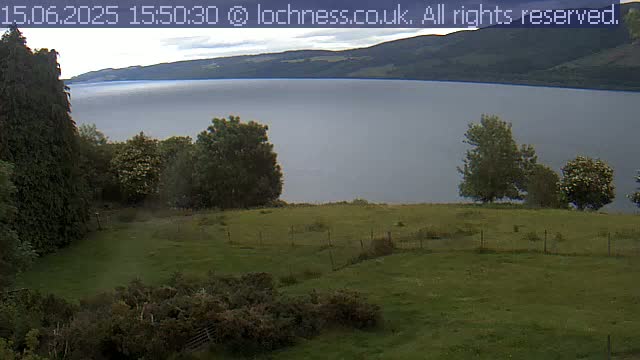 A grassy field with trees overlooks a large, calm lake and distant hills under an overcast sky.