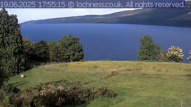 A grassy field with a few sheep and trees overlooks a calm, dark blue loch and distant mountains under a clear sky.