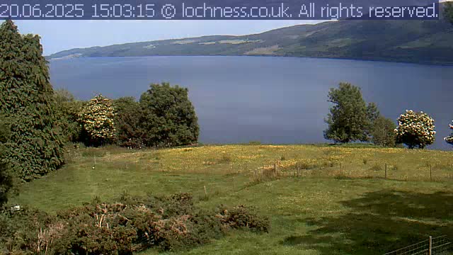 A grassy field with scattered trees and flowering shrubs overlooks a calm, blue lake nestled between rolling hills under a mostly clear sky.