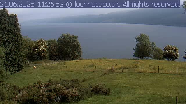 A grassy field with a wire fence, several trees, and a sheep overlooks a calm, gray-blue lake and distant mountains under an overcast sky.