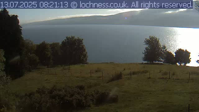 A grassy field with a few trees overlooks a calm lake and distant mountains under a mostly clear sky.
