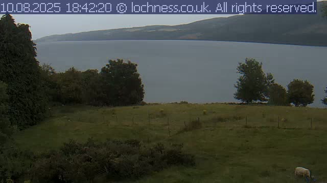 Nessieland,  Loch Ness Lake View Point Live Cam -  Drumnadrochit, Highland, Inverness, Scotland, United Kingdom