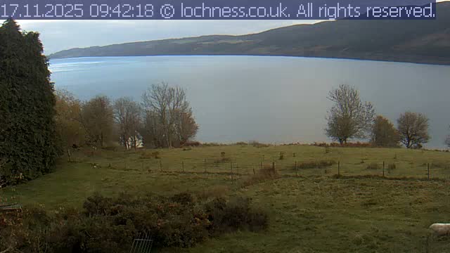On an overcast day, a wide body of calm water stretches towards distant hills, overlooked by a grassy field dotted with bare trees, sparse bushes, and a tall evergreen hedge on the left.