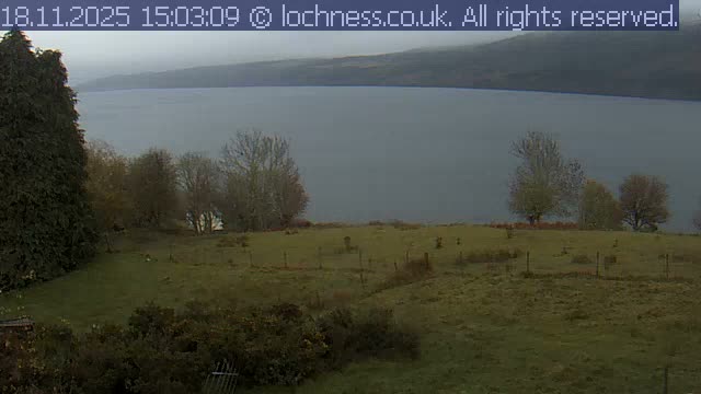 On an overcast day, a wide body of calm water stretches towards distant hills, overlooked by a grassy field dotted with bare trees, sparse bushes, and a tall evergreen hedge on the left.