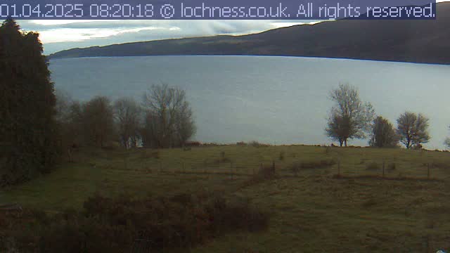 Under an overcast sky, a wide, calm loch stretches towards distant hills, bordered by grassy fields dotted with bare-branched trees in the foreground.