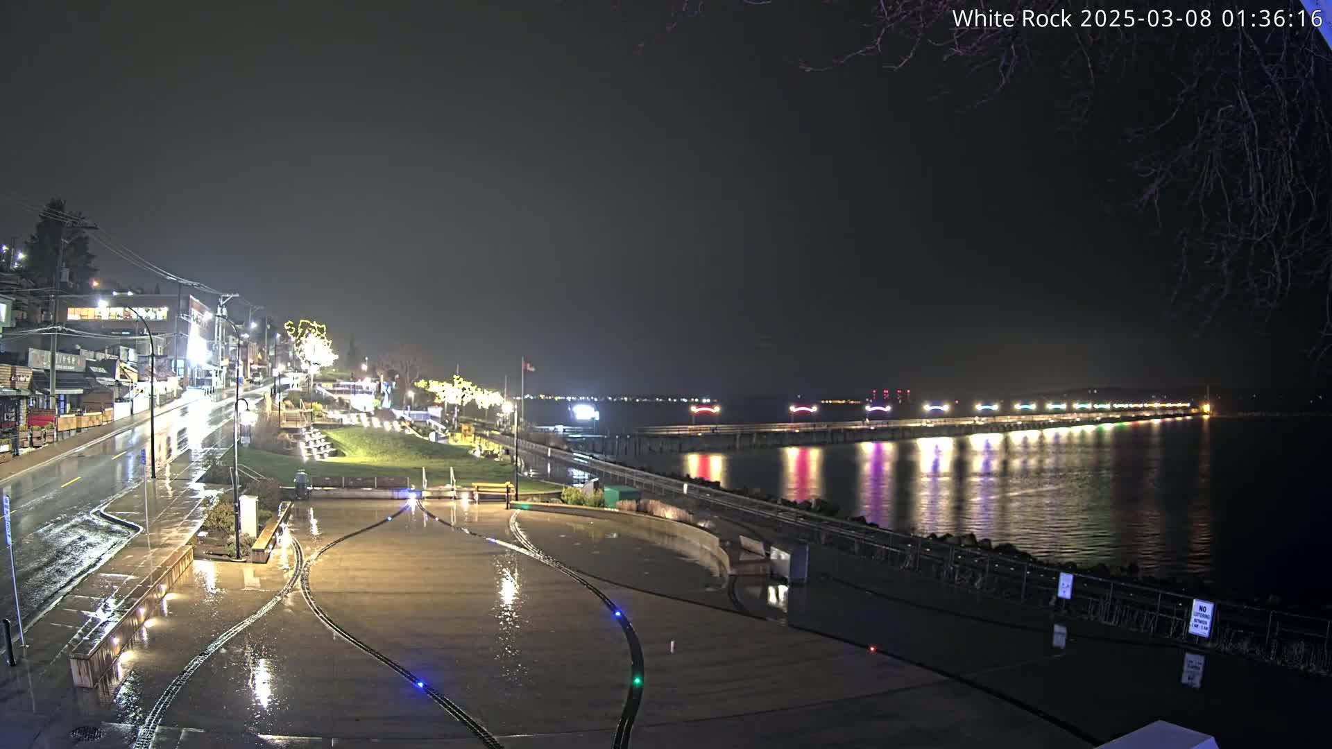 A rain-slicked waterfront plaza at night, with lights illuminating a nearby pier and reflecting on the water.