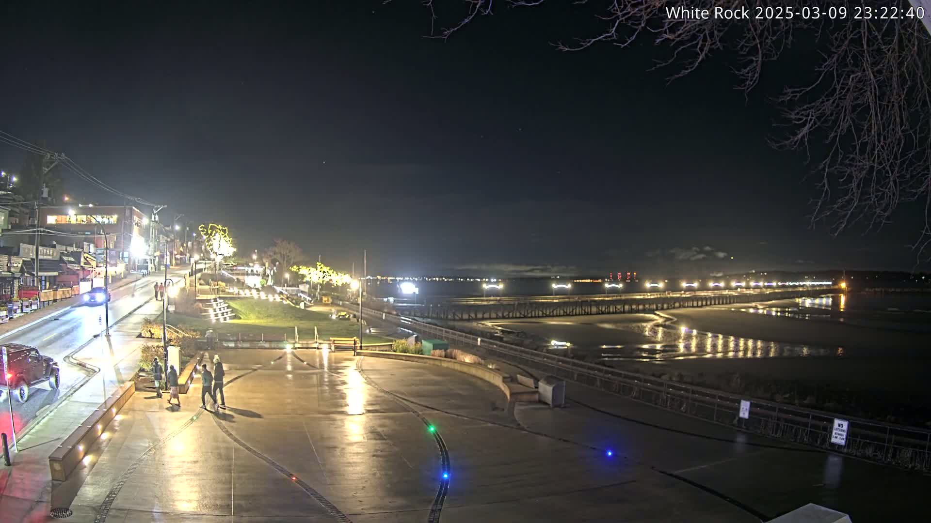 A wet, nighttime scene shows a town's waterfront with a long pier extending into the calm water under a clear, starry sky.