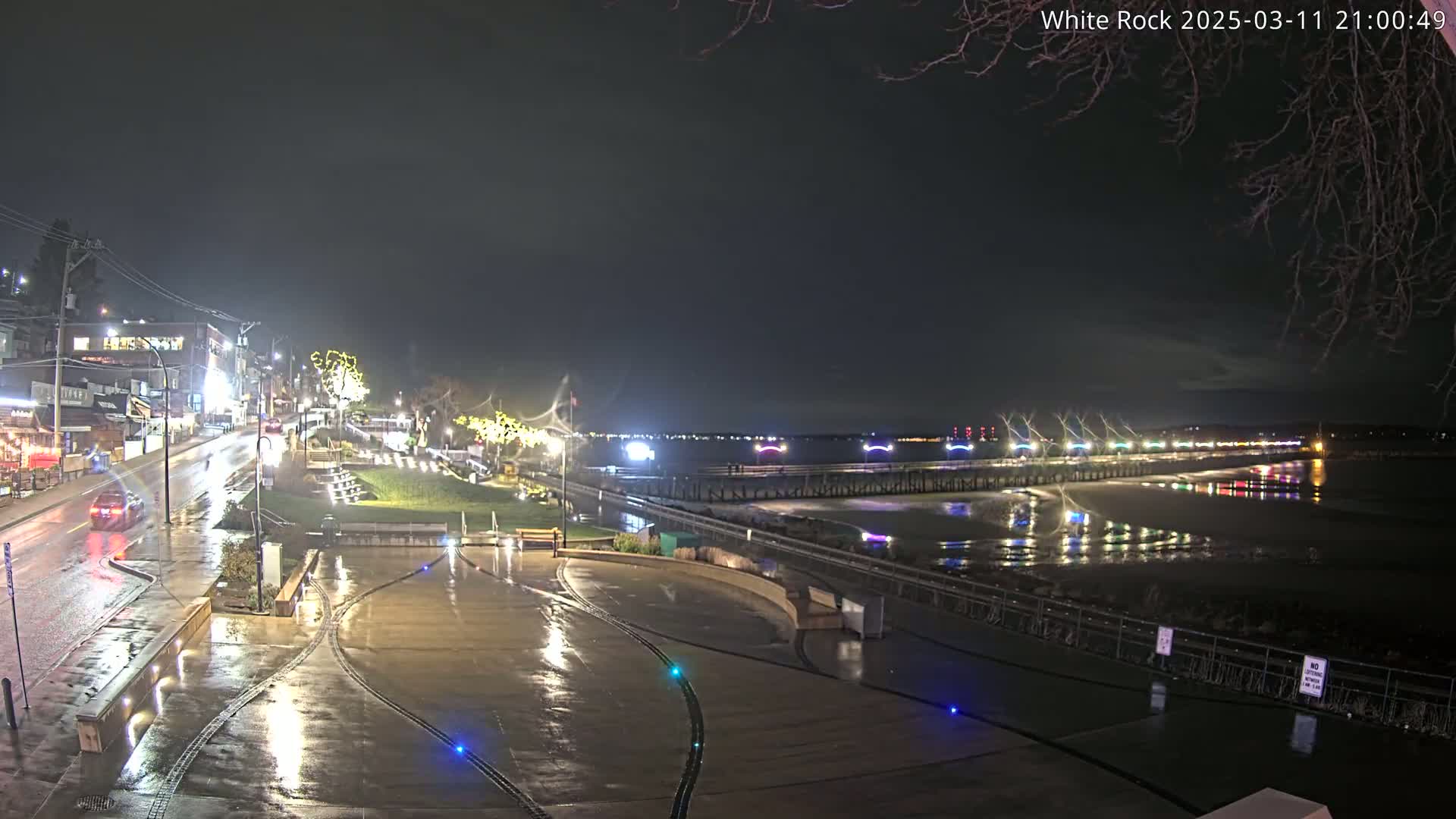 A rain-slicked nighttime waterfront scene shows a town's illuminated streets, a pier with lights reflecting on the water, and a mostly empty paved plaza.