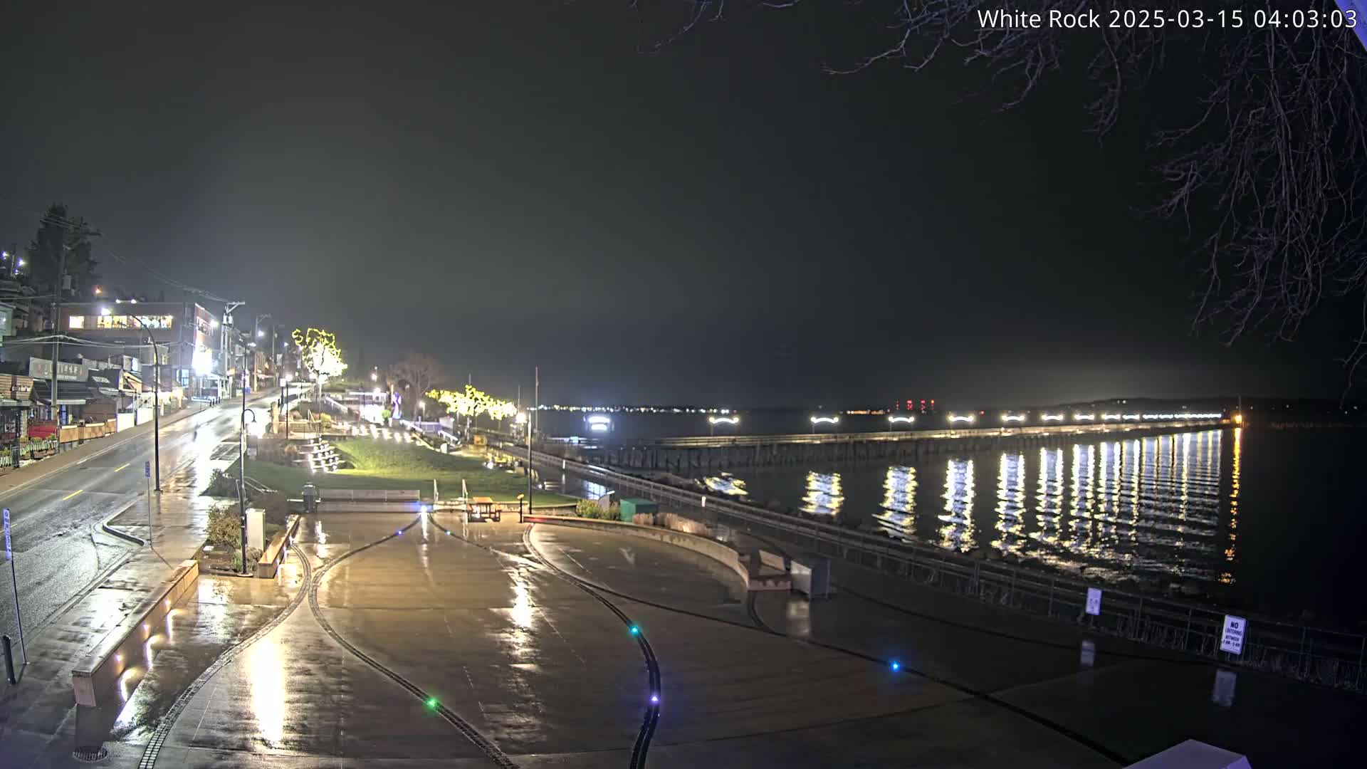 A wet, nighttime waterfront scene shows a paved area with lights, a roadway leading to buildings, and a pier extending into calm water reflecting the lights.