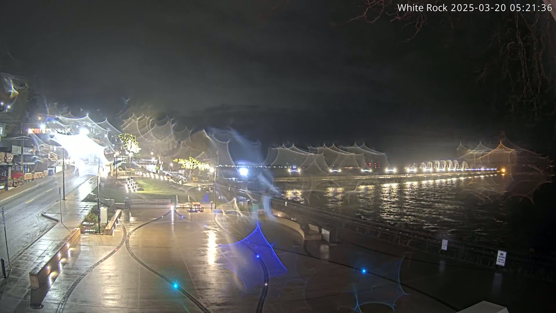 A nighttime view of a wet, paved waterfront area with buildings and lights across a choppy body of water.