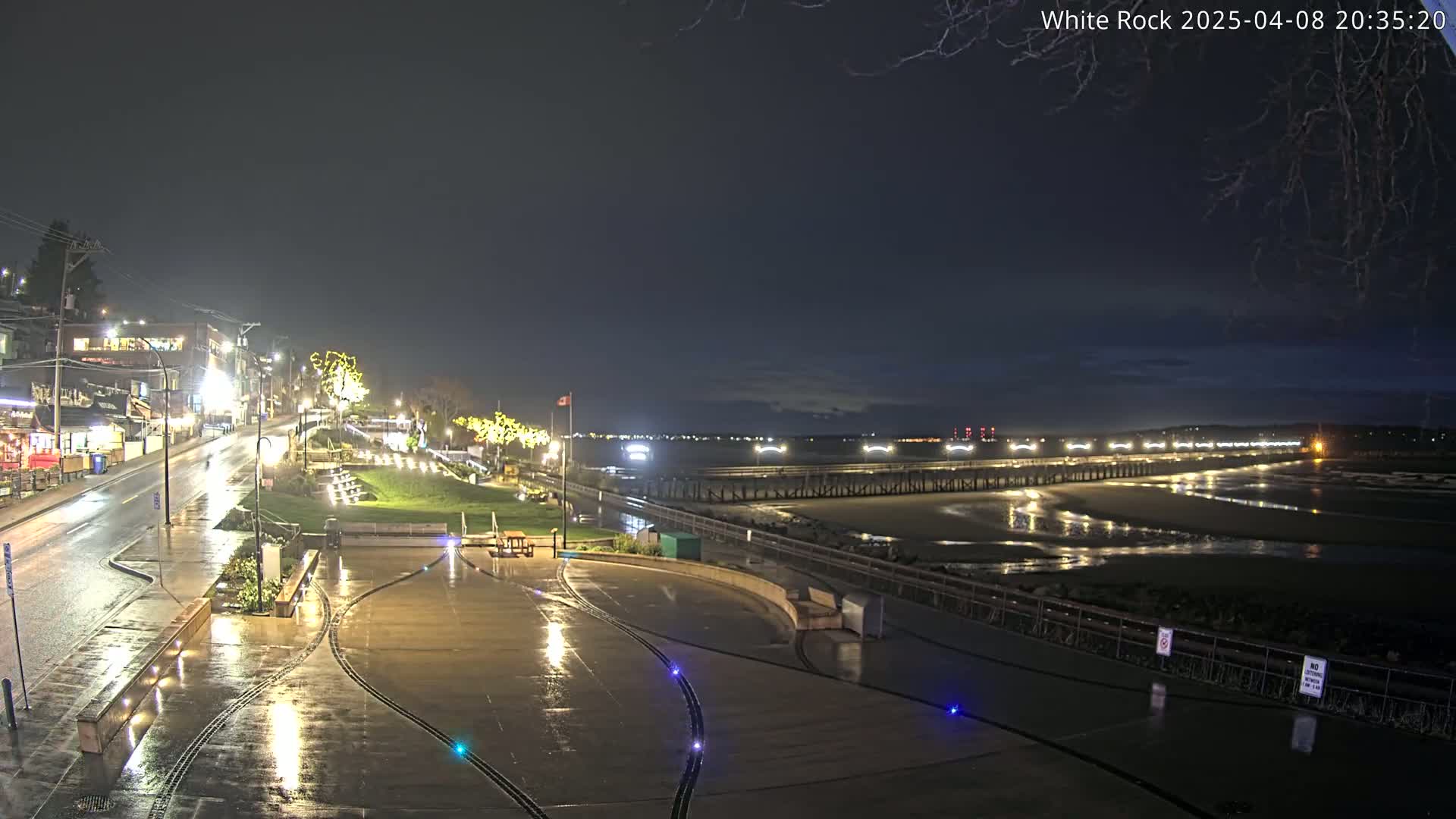 A rain-slicked waterfront plaza at night, illuminated by streetlights, overlooks a long, dark pier extending into a calm, shallow body of water under a mostly clear sky.