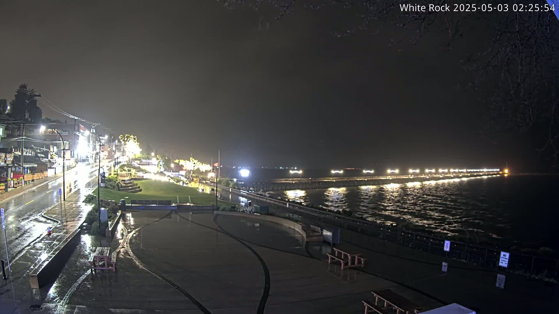 A rain-slicked waterfront at night shows a long pier lit with lights extending into dark water, with a street and buildings visible uphill.