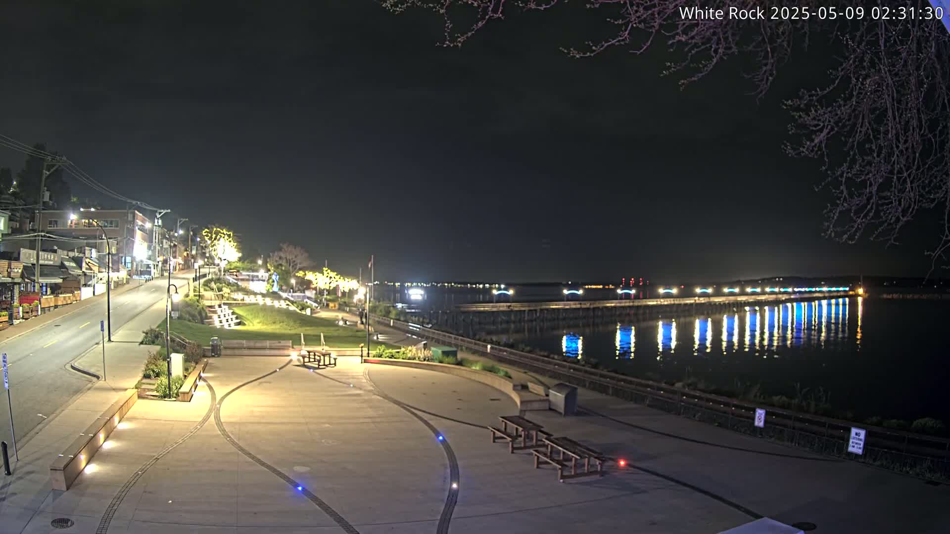 A nighttime view of a waterfront plaza with benches and a long pier extending into the calm water, illuminated by lights.