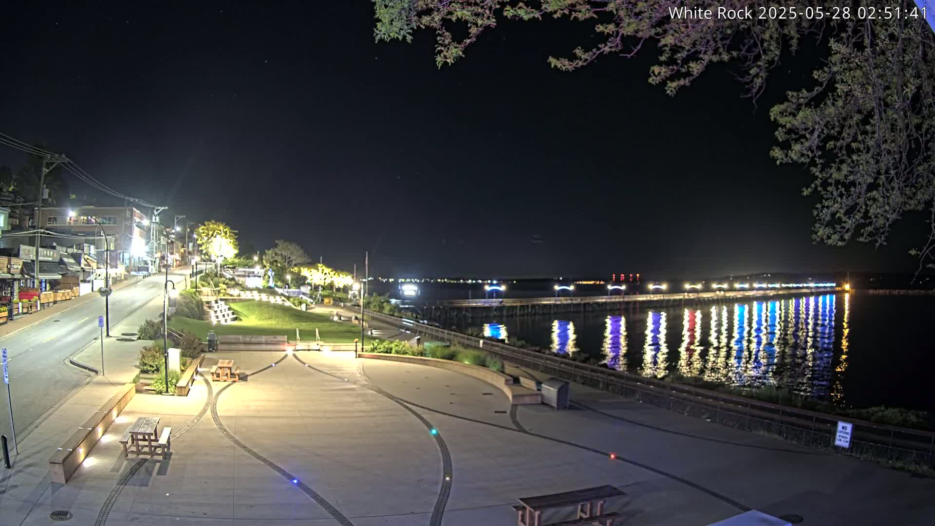 A nighttime view of a waterfront park with a pier illuminated by colorful lights reflecting on the calm water, under a clear, starry sky.