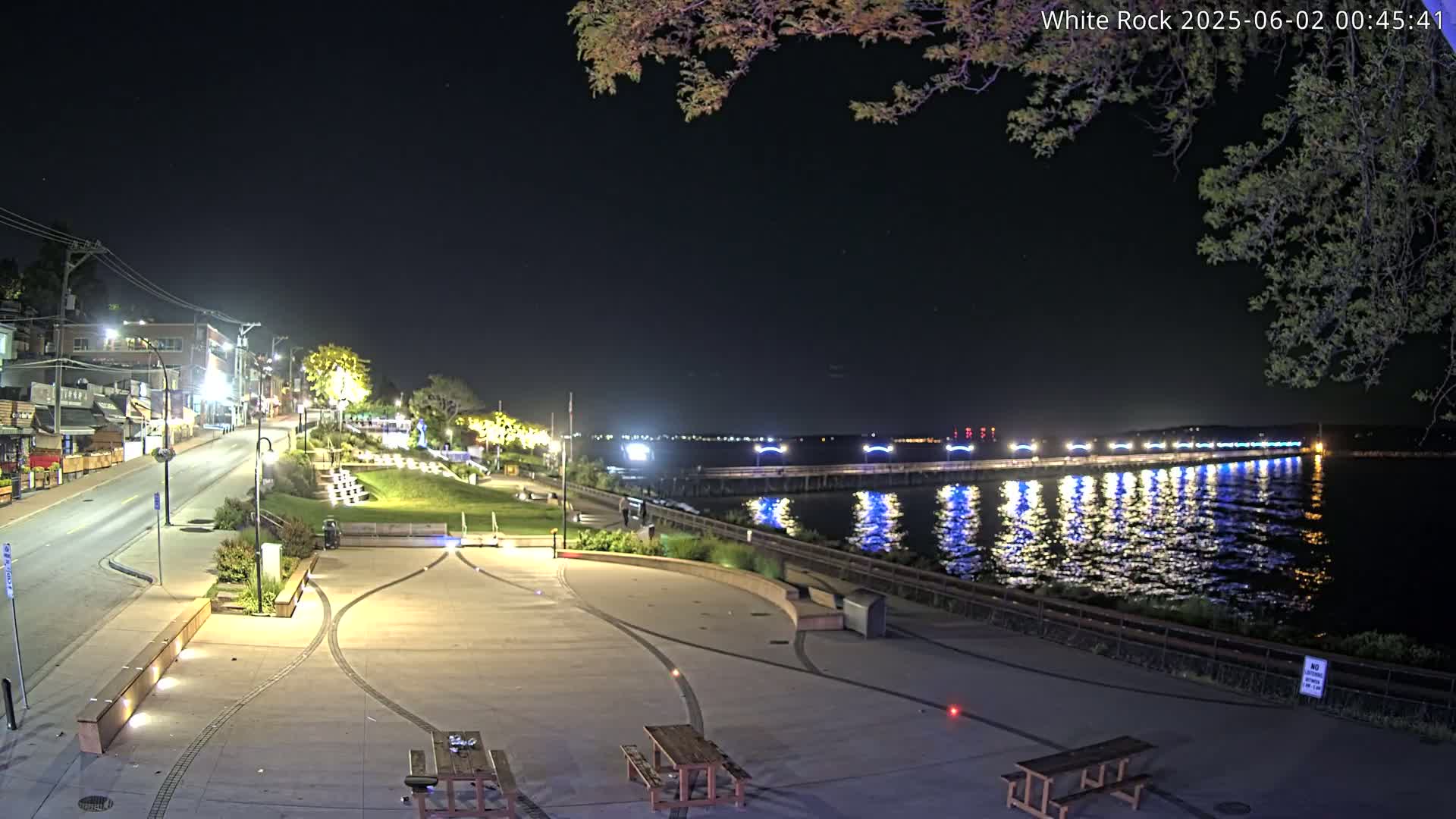 A nighttime view of a waterfront park with a long pier illuminated by lights reflecting on the calm water, under a clear, dark sky.