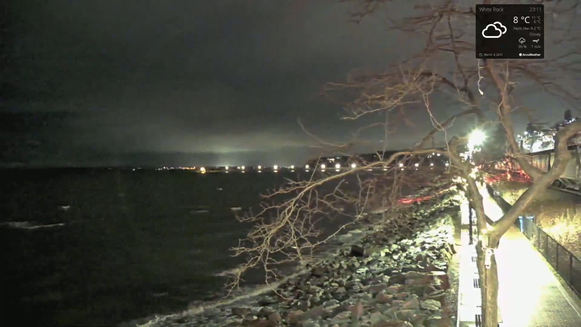 A nighttime, cloudy scene shows a rocky shoreline with a tree and a paved walkway illuminated by lights, overlooking a dark body of water with distant lights.